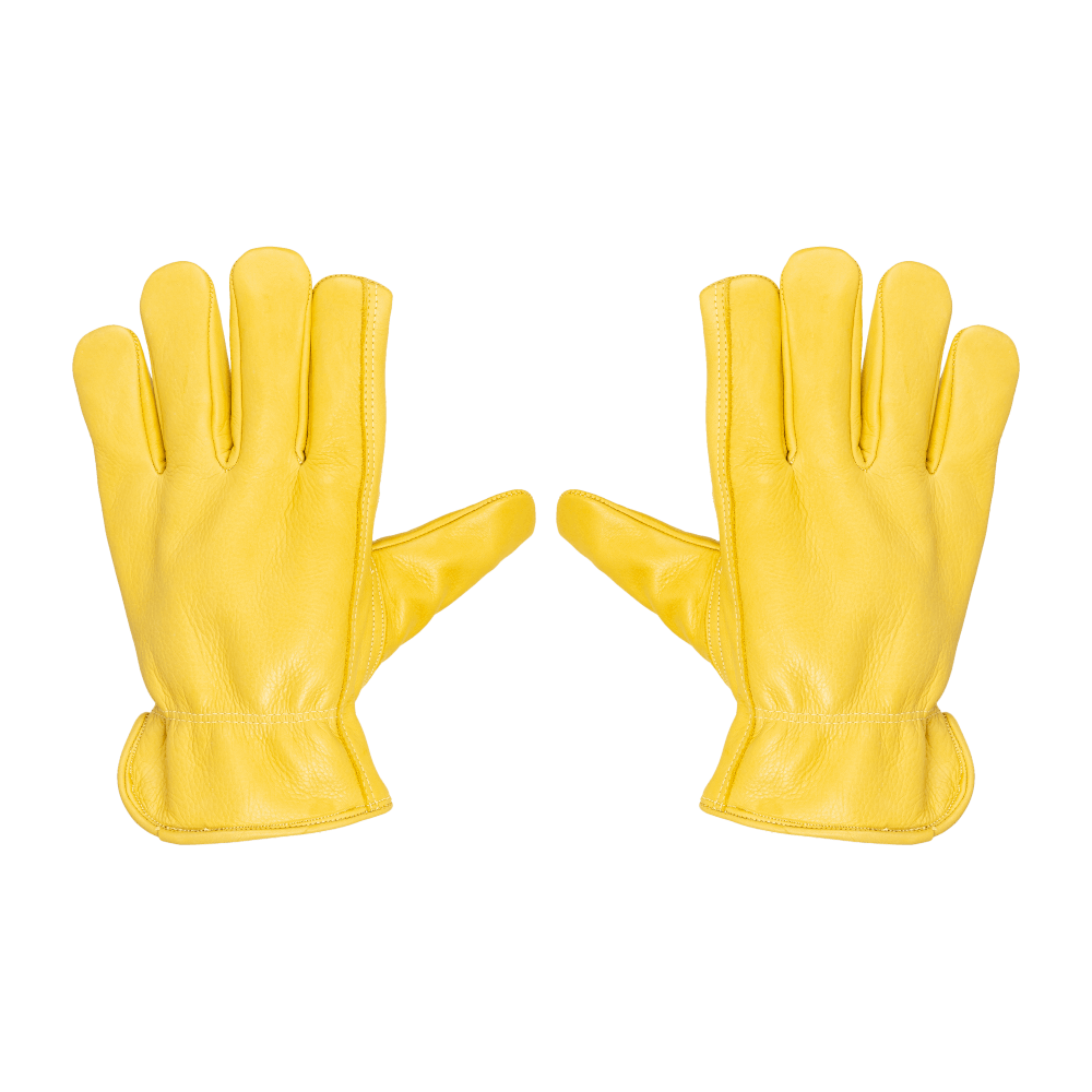 DWY-083